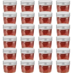 vidaXL 24 pcs Pots à confiture avec couvercles argentés Verre 110 ml