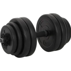 vidaXL 1 x Haltère 15 kg