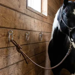vidaXL Anneaux d'attache pour chevaux avec vis à œil 3 pcs argenté acier