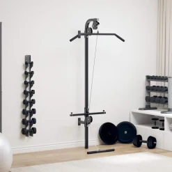 vidaXL Appareil de musculation mural avec 2 poulies