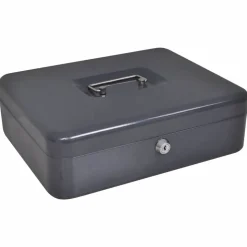 vidaXL Coffre à cash avec verrouillage Gris foncé 30 x 24 x 9 cm Acier