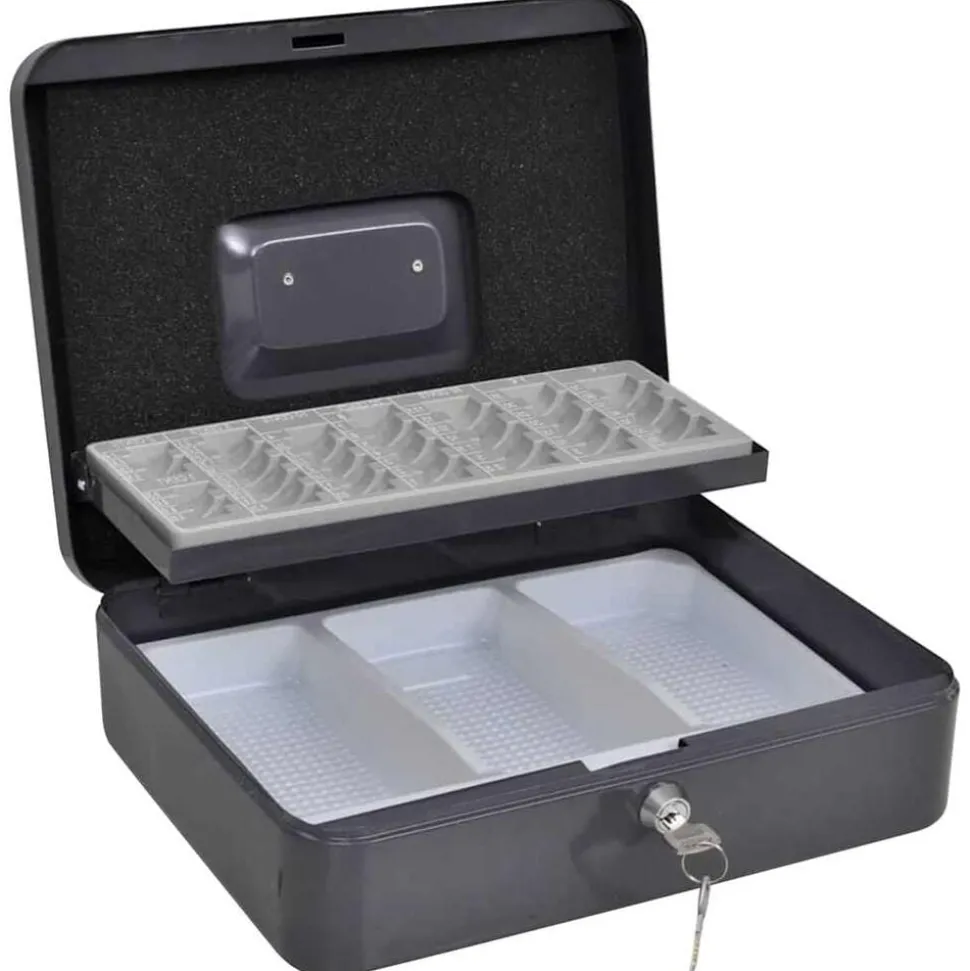 vidaXL Coffre à cash avec verrouillage Gris foncé 30 x 24 x 9 cm Acier