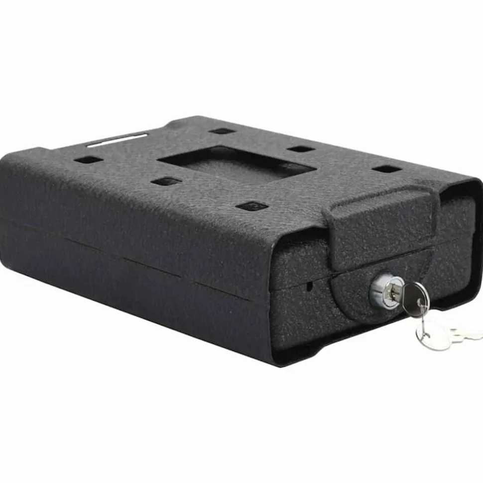 vidaXL Coffre de voiture avec verrouillage Noir 22 x 16 x 7 cm Acier