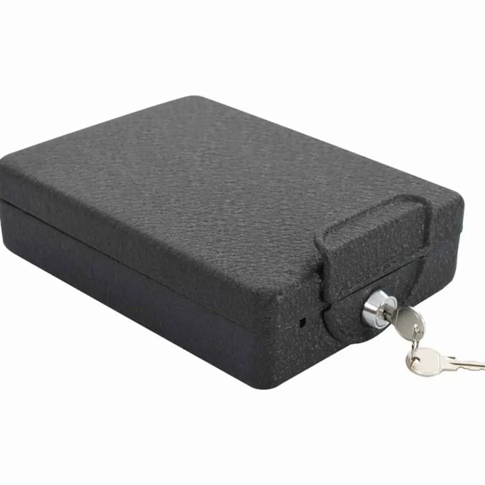 vidaXL Coffre de voiture avec verrouillage Noir 22 x 16 x 7 cm Acier