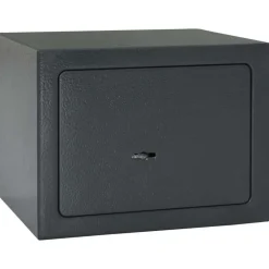 vidaXL Coffre-fort avec verrouillage Gris foncé 23 x 17 x 17 cm Acier
