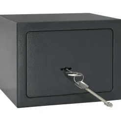 vidaXL Coffre-fort avec verrouillage Gris foncé 23 x 17 x 17 cm Acier