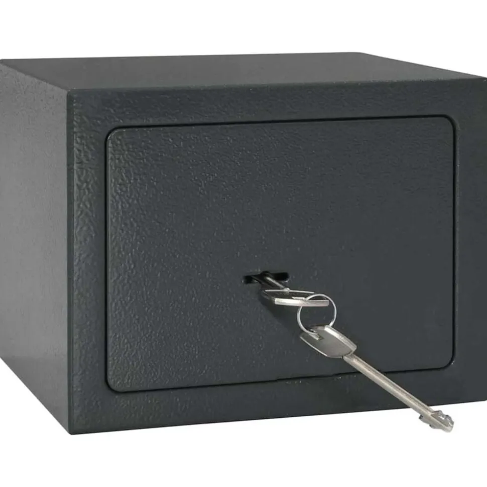 vidaXL Coffre-fort avec verrouillage Gris foncé 23 x 17 x 17 cm Acier