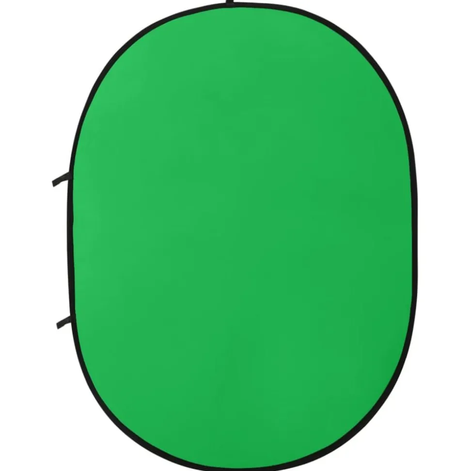 vidaXL Écran de fond de studio ovale 2 en 1 Vert et bleu 200x150 cm