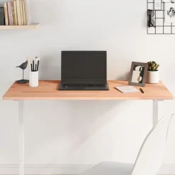 vidaXL Dessus de bureau 100x50x1,5 cm bois massif de hêtre
