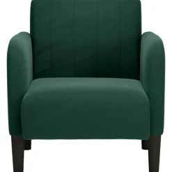 vidaXL Fauteuil avec accoudoirs vert foncé 54 cm velours
