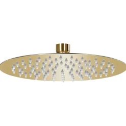 vidaXL Pomme de douche pluie Acier inoxydable 20 cm Ronde Doré