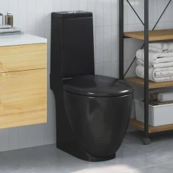 vidaXL Toilette en céramique Ronde Écoulement d'eau au fond Noir