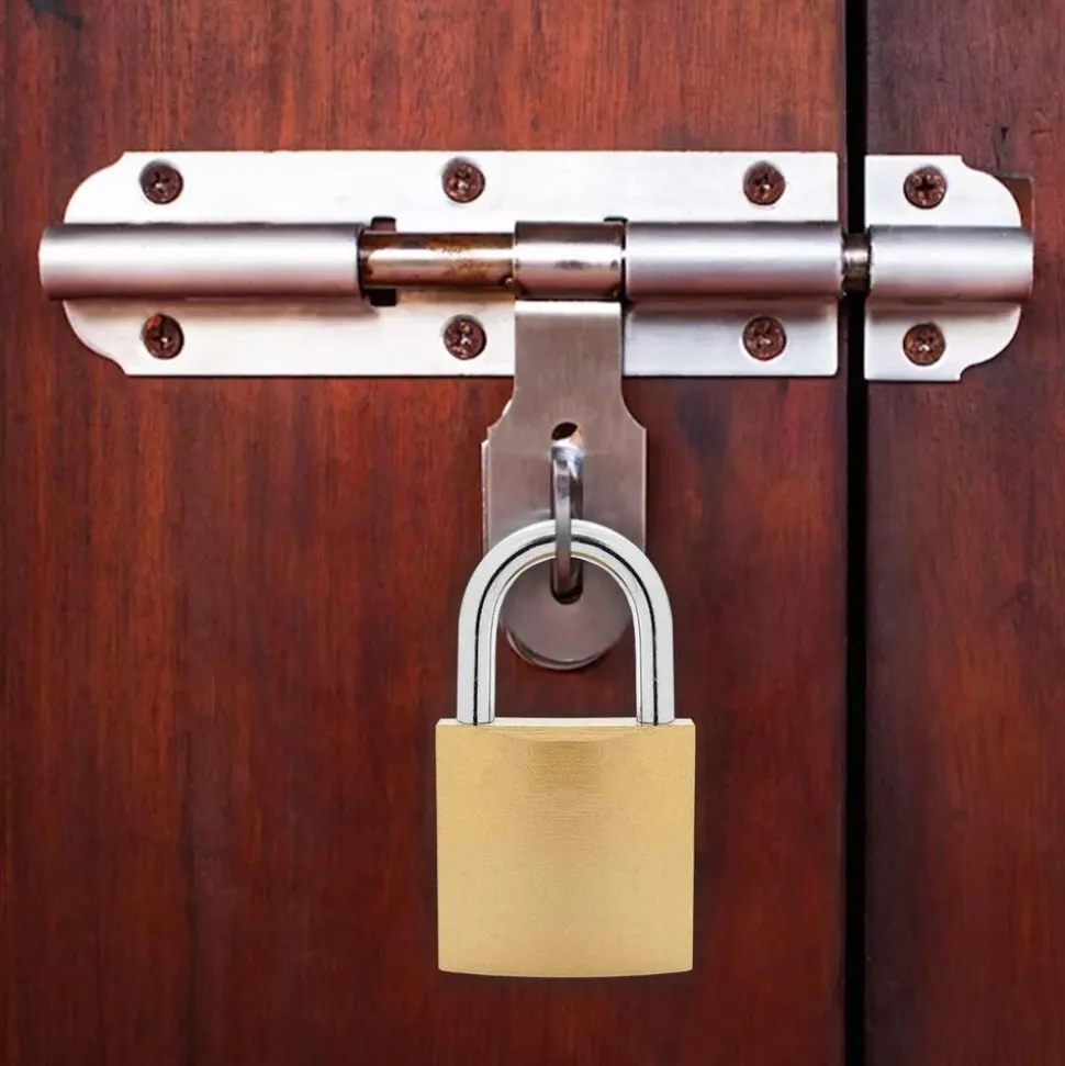 vidaXL U Lock avec Clés 100 pcs Laiton Fer