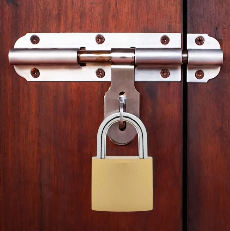 vidaXL U Lock avec Clés 100 pcs Laiton Fer