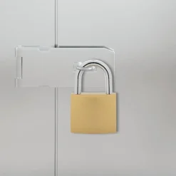 vidaXL U Lock avec Clés 100 pcs Laiton Fer